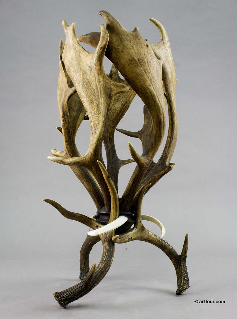 a rustic black forest antler basket. made of antlers from the deer and fallow deer and wild boar tusks. designed as plant cachepot or waste paper basket. executed ca. 1890.