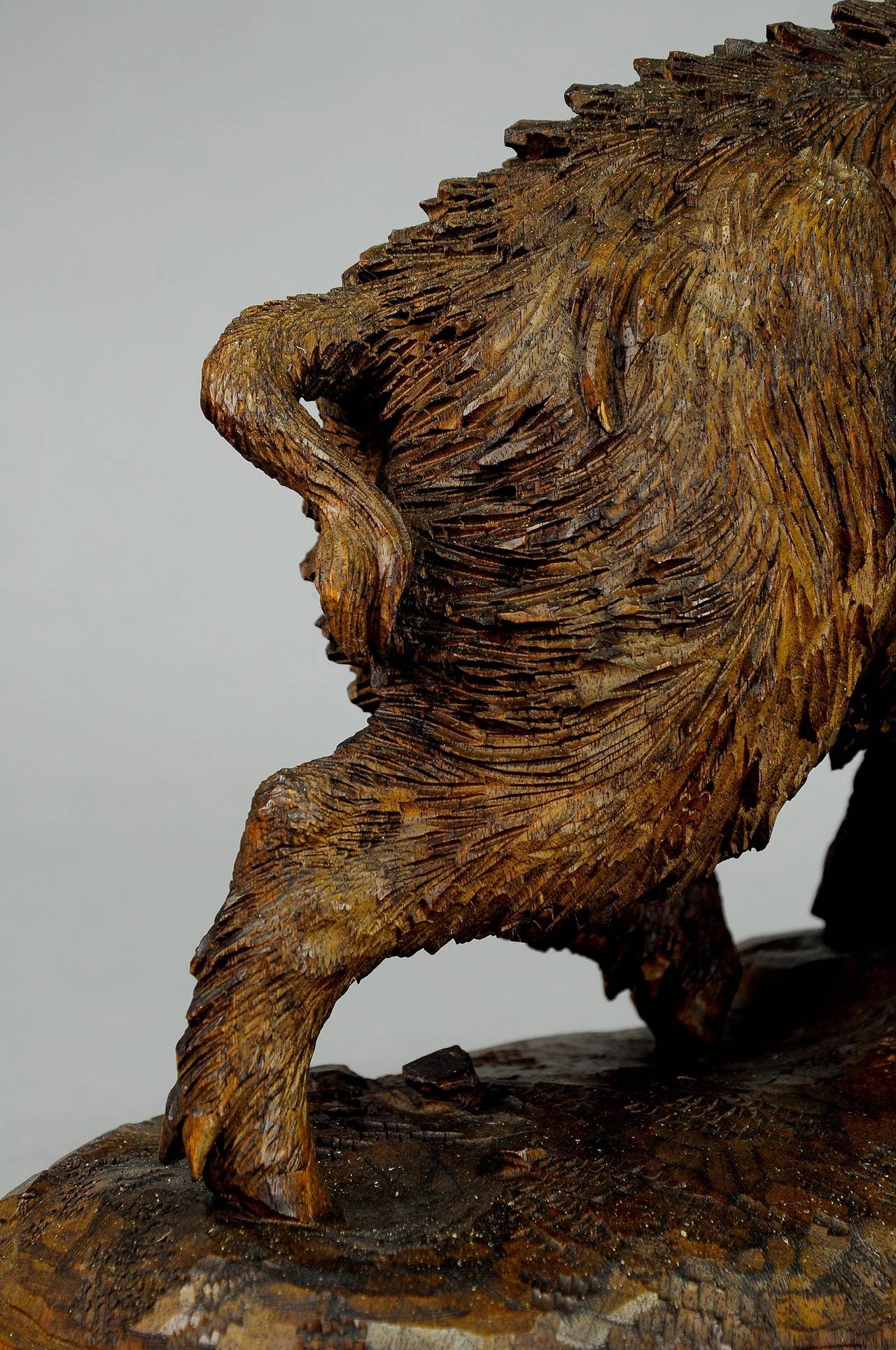 Swiss great black forest carved wood wild boar - in the manner of peter burri