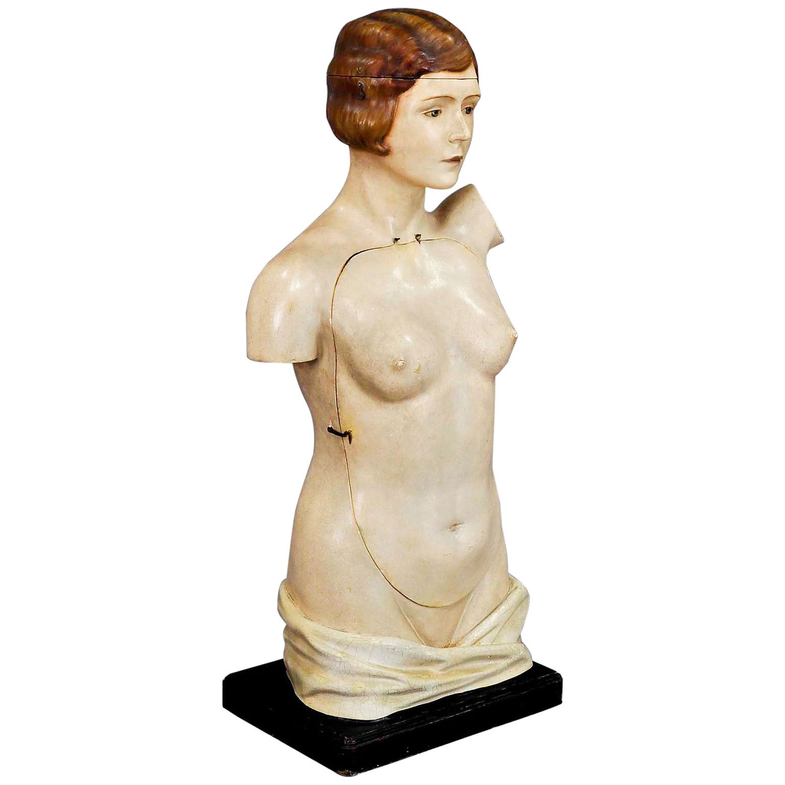 great female anatomical torso by SOMSO, circa 1920