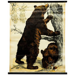 Vintage Wall Chart, Scenery with Grizzly Bears from German School