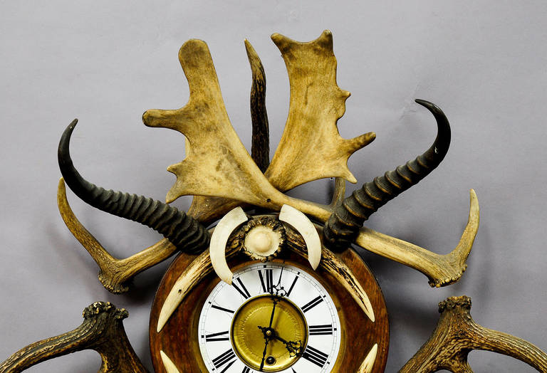 German Antique Black Forest Antler Wall Clock