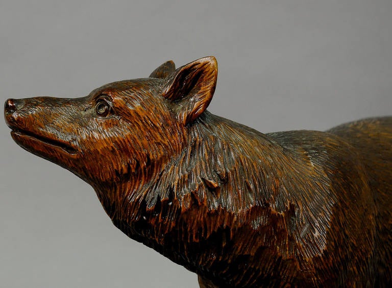 Black Forest Expressive Carved Wood Fox by Ernst Heissl