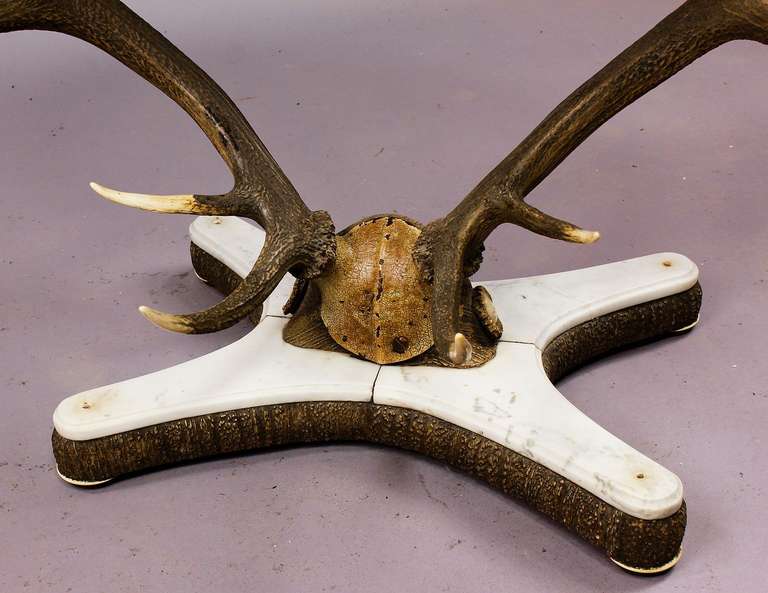 Austrian antique stag trophy antler table, austria, circa 1860