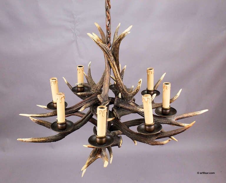 Mid-20th Century shapely antique antler chandelier
