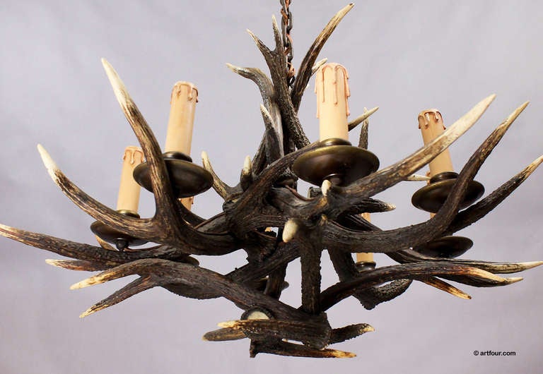 a shapely chandelier made of several deer antlers. 8 spouts in the style of candles. executed ca. 1930.