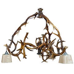 Great Antler Chandelier with Figural Carved Horn Roses ca. 1910