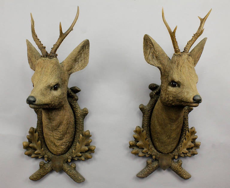 A pair of hand-carved Black Forest roe deer heads with original antlers and glass eyes, mounted on carved wood plaques. Executed, circa 1900.