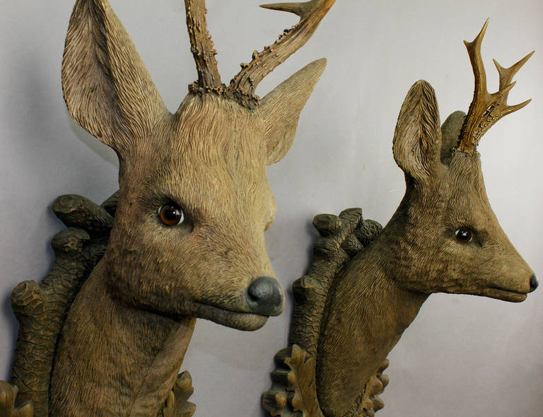 Pair of Carved Wood Roe Deer Heads In Good Condition In Berghuelen, DE