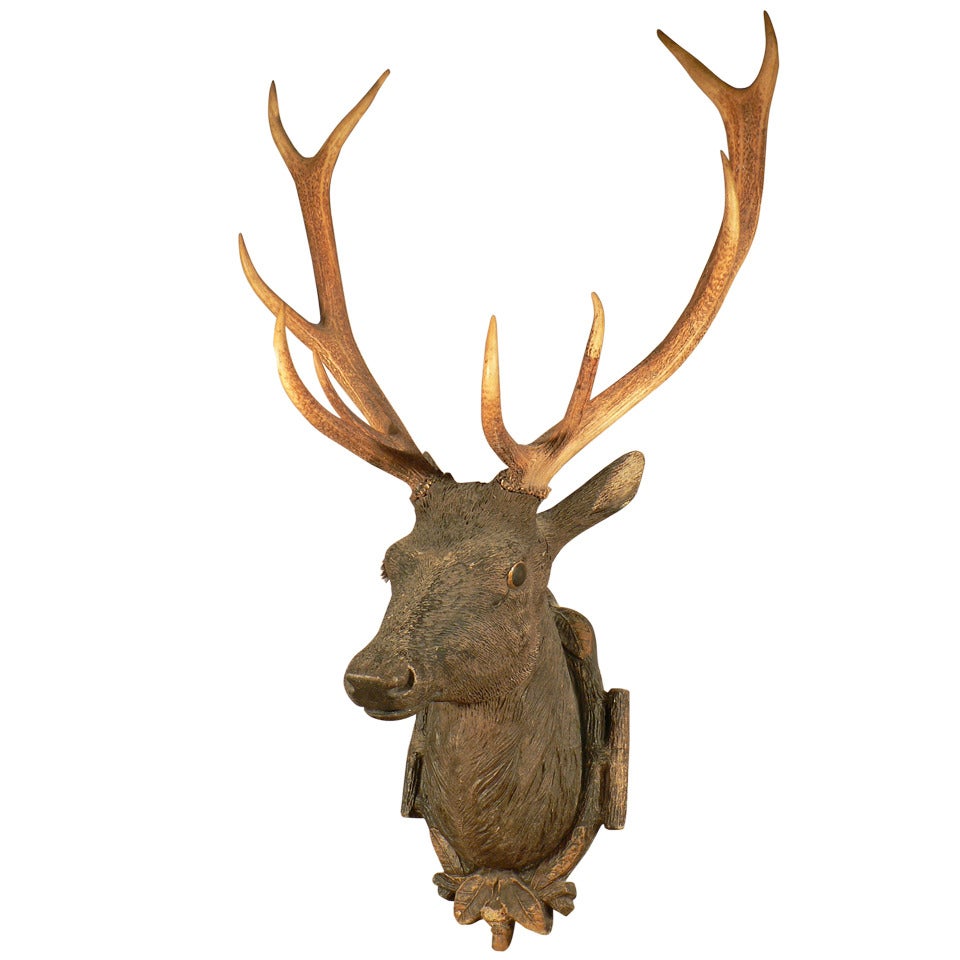 Black Forest Wooden Carved Stag Head Ca. 1900