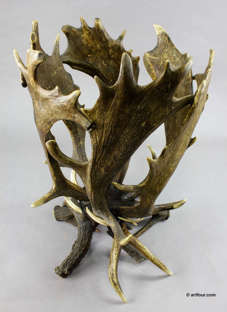 19th Century Fantastic Black Forest Antler Basket 1900