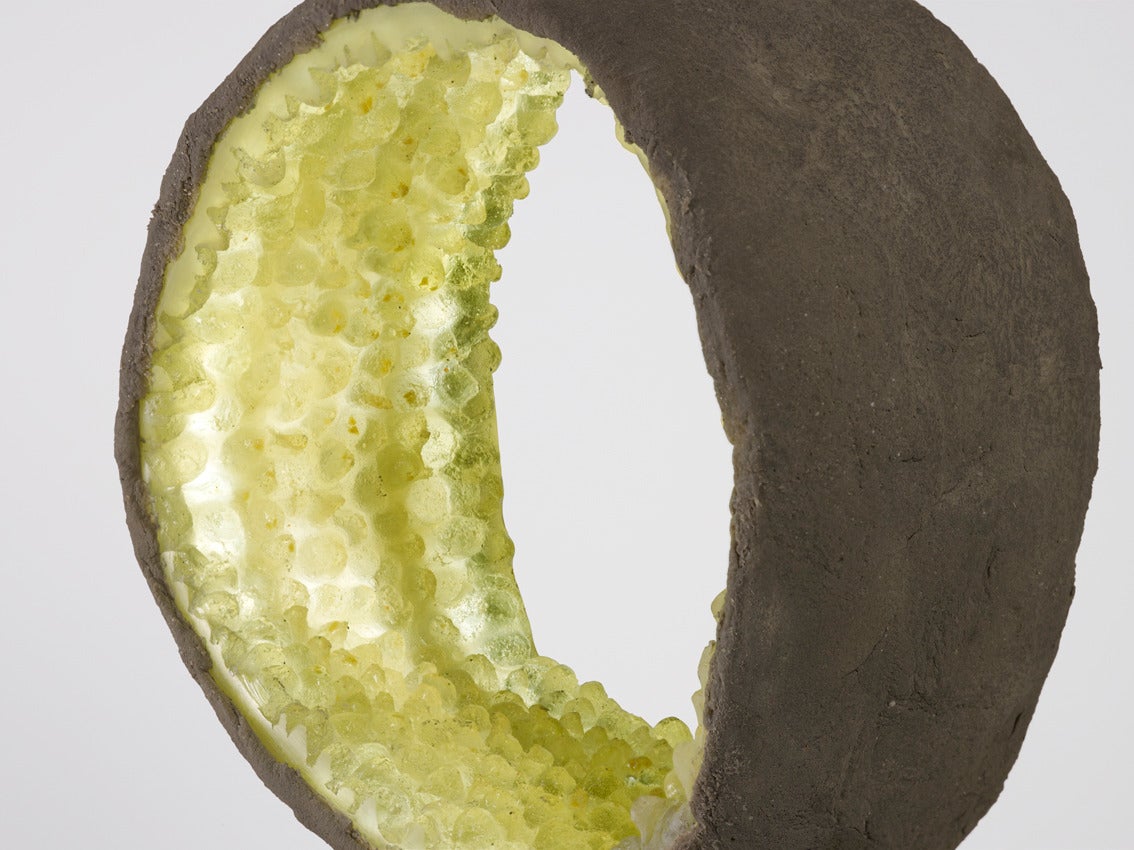 Dutch ‘Yellow Green and Brown Luciferase, ’ Light-Producing Creature by Nacho Carbonell