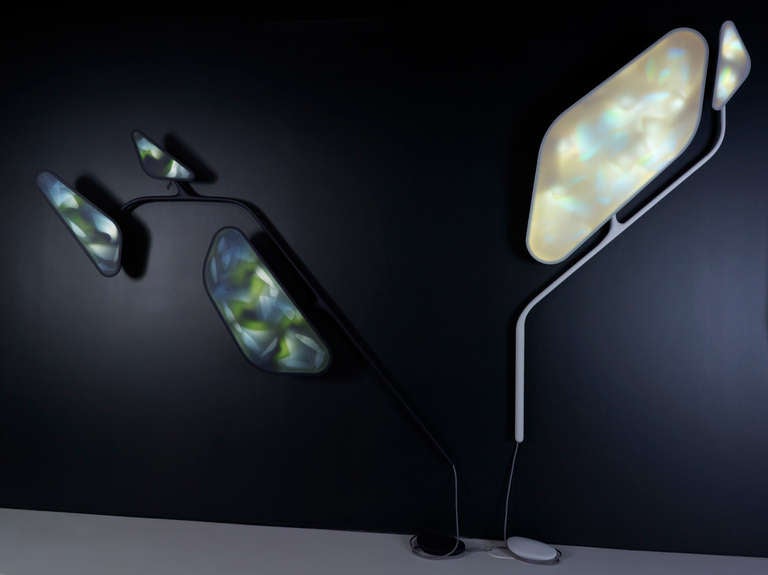 Contemporary 'Naturoscopie II', a Lighting, Kinetic Wall Piece by Noé Duchaufour-Lawrance For Sale