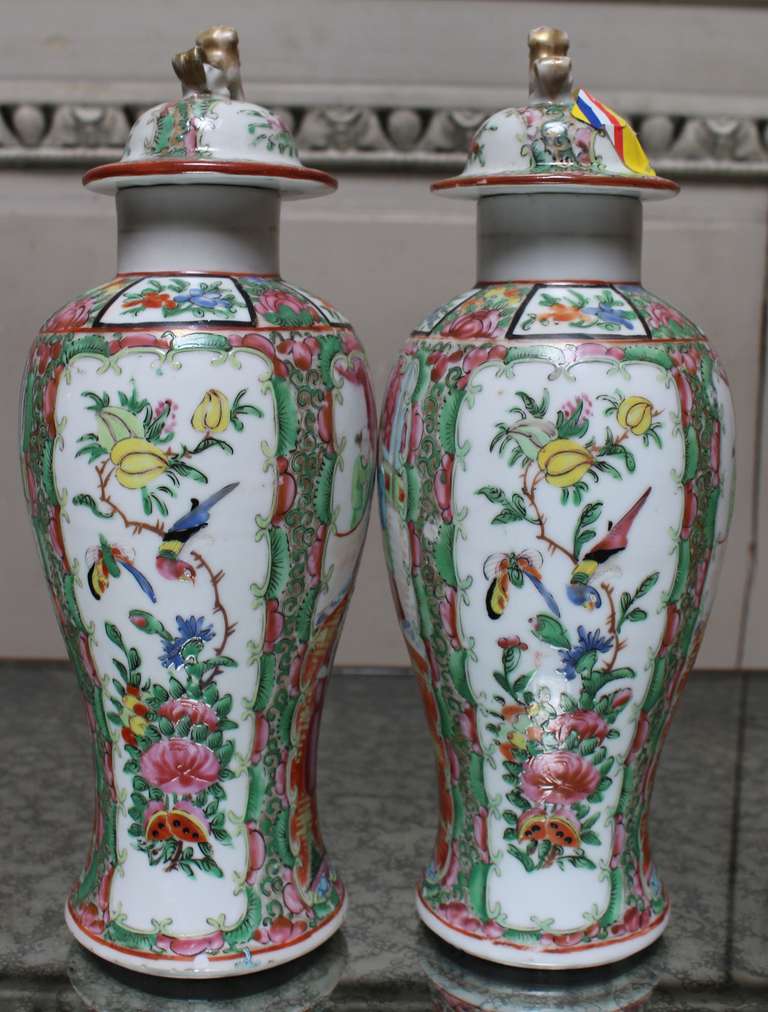 A pair of Chinese porcelain rose mandarin jars with lids, late 19th century.