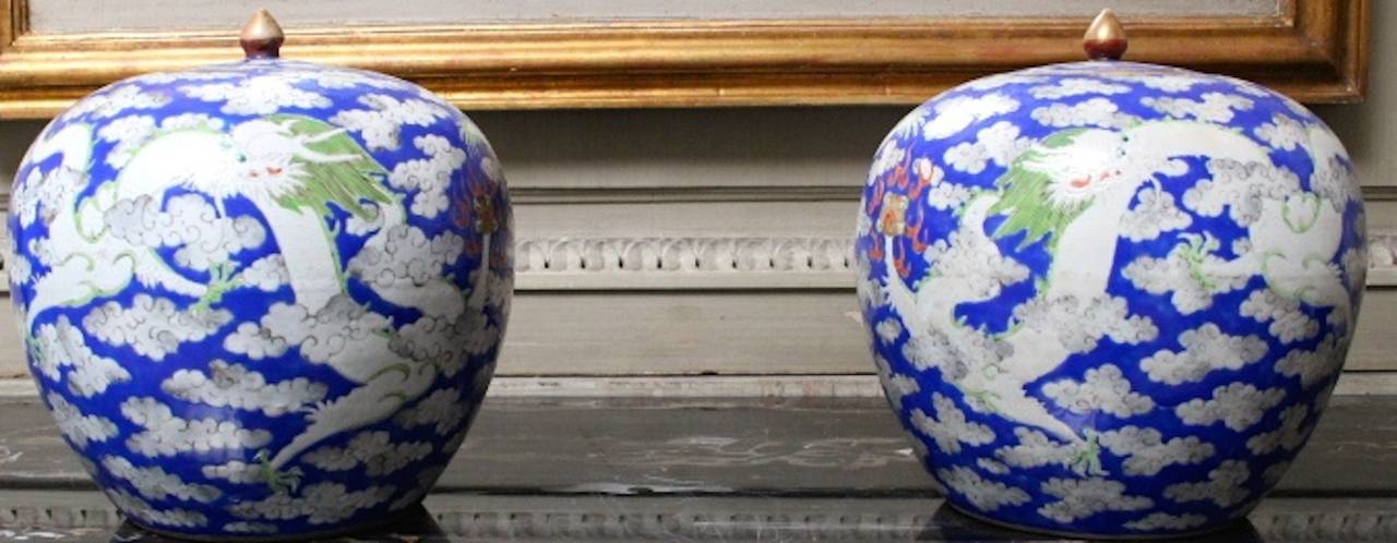 Pair of Chinese Porcelain Ginger Jars 2