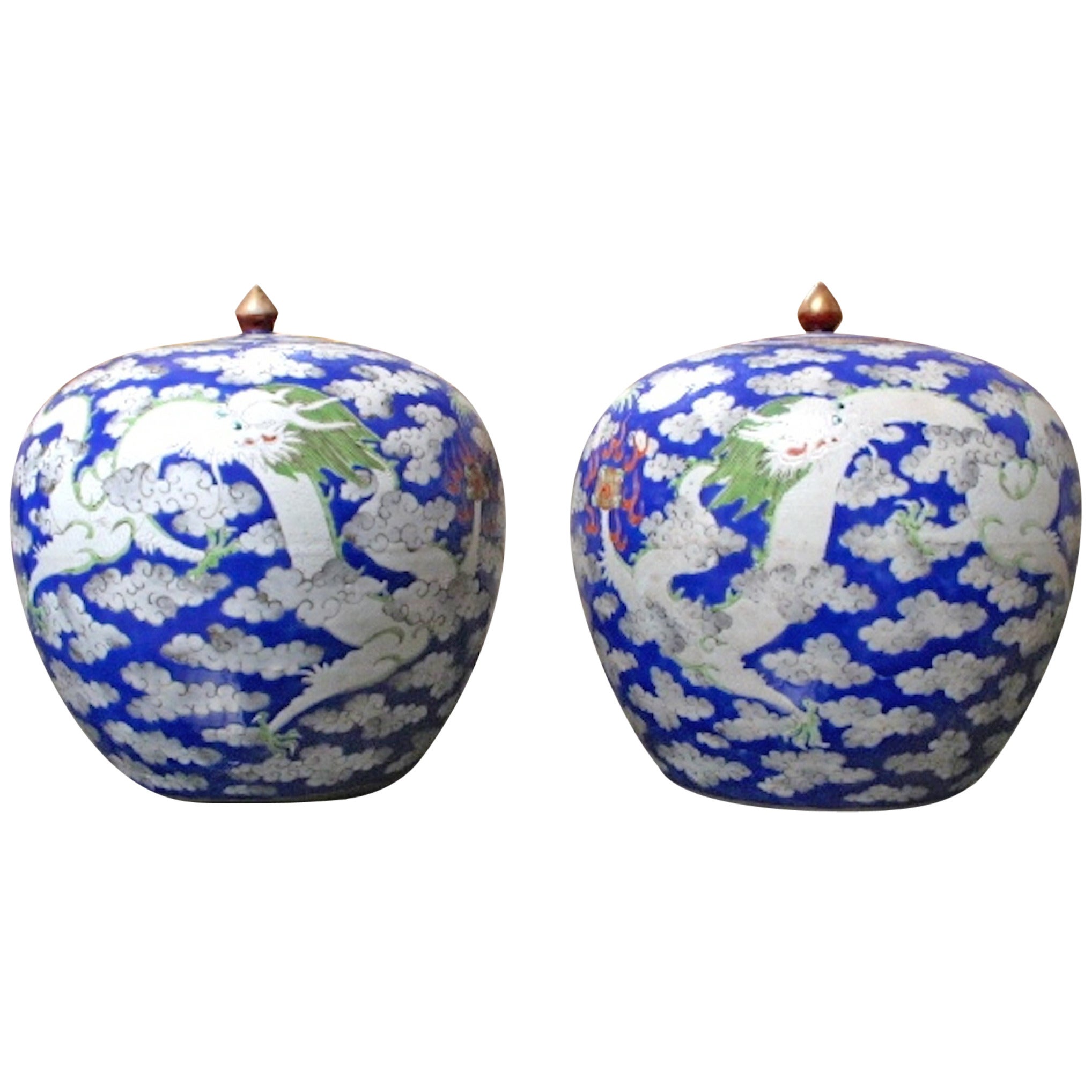 Pair of Chinese Porcelain Ginger Jars