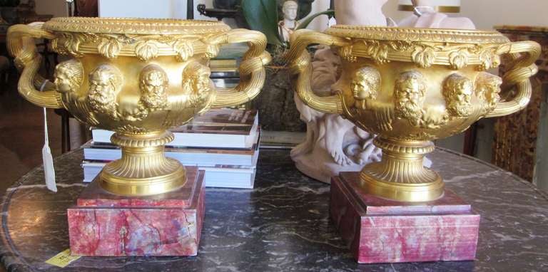 A Pair of Gilt Bronze Warwick Urns on a Faux Marble Painted Base