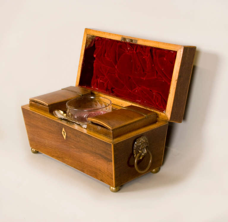19th Century  Rosewood Tea Caddy In Excellent Condition In San Francisco, CA
