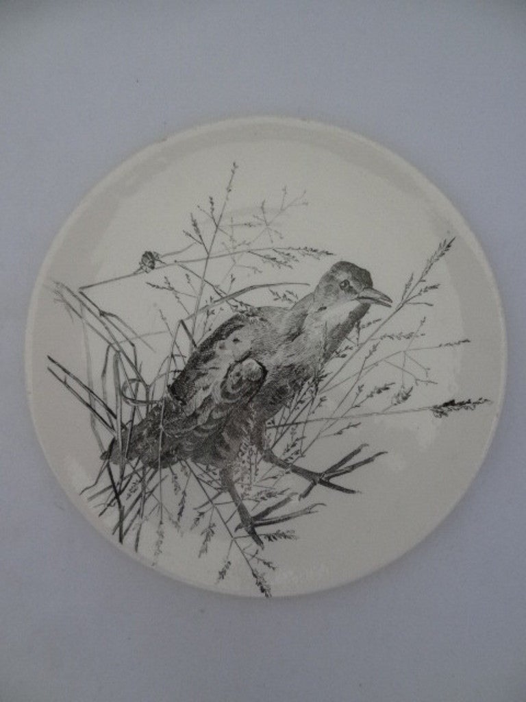 Doulton Burslem | Plates | British Birds