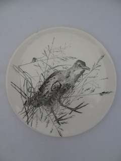 Doulton Burslem | Plates | British Birds