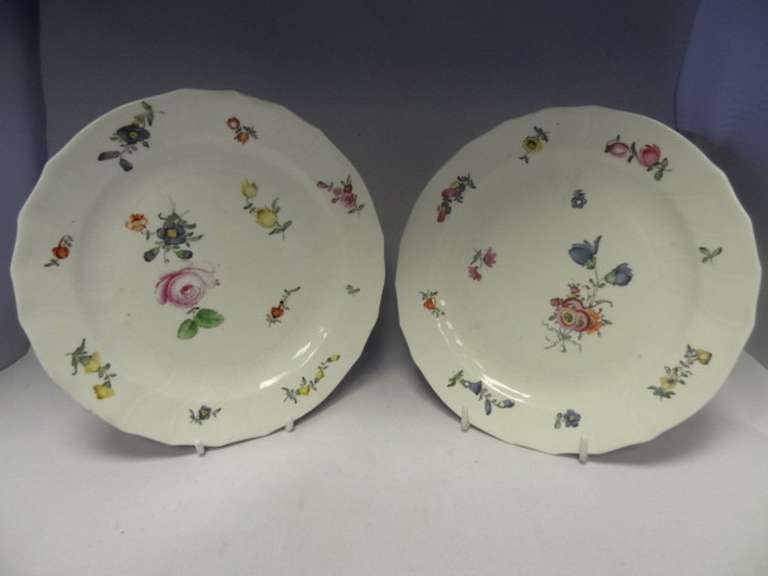 Fuerstenberg Porcelain Floral Plates