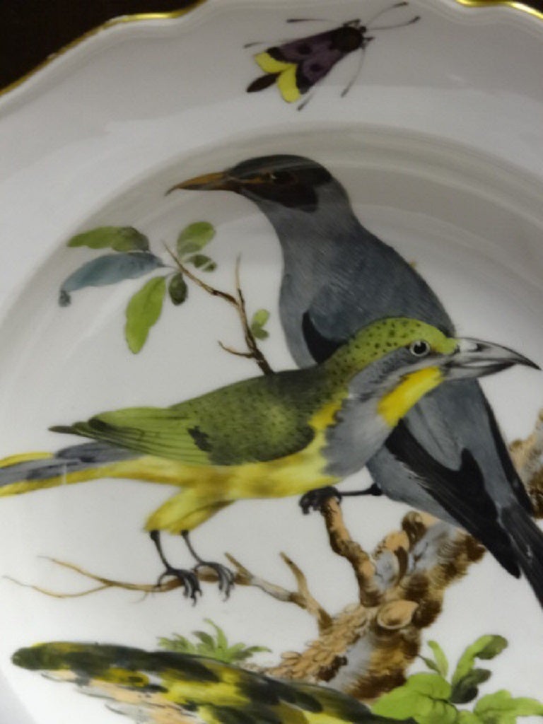 German Porcelain Soup Plate with Ornithological Decoration
