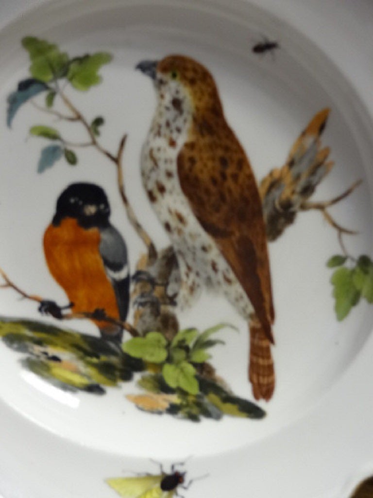 German Porcelain Soup Plate with Ornithological Decoration For Sale