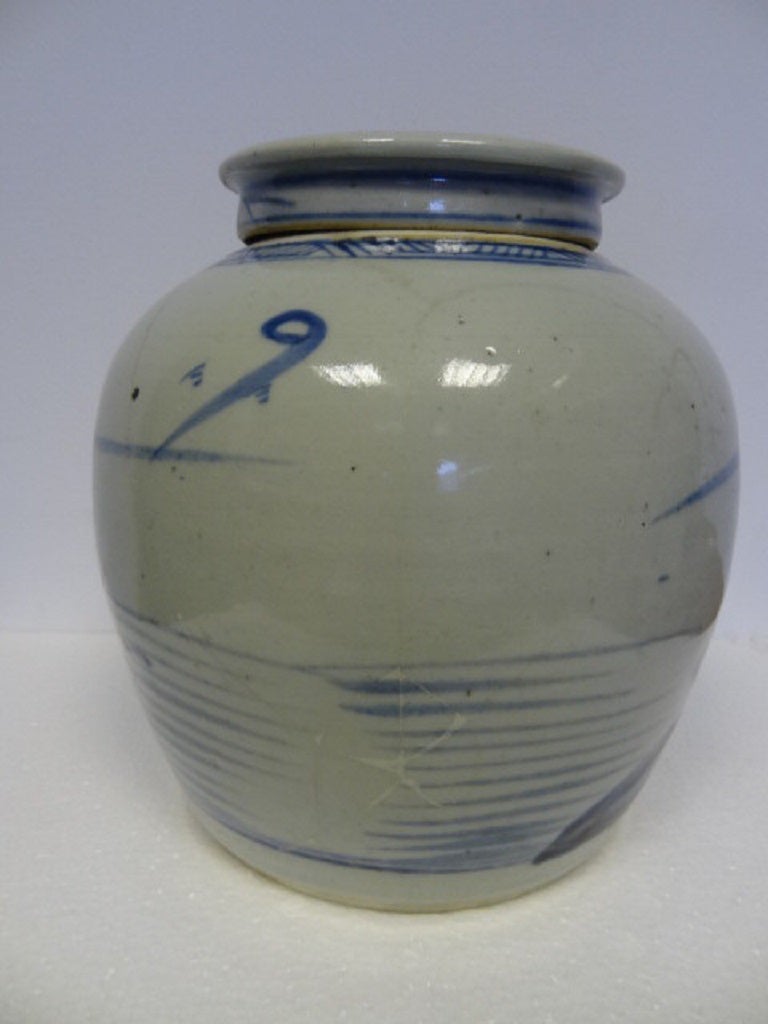 19th Century Blue and White Ginger Jar with Cover, Chatsworth House