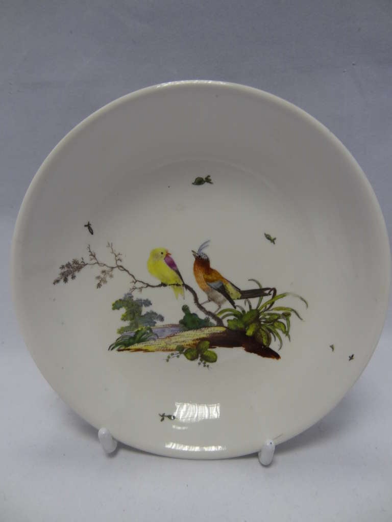 Ansbach teacup and saucer with a scroll handle and decorated with birds and flower sprigs.