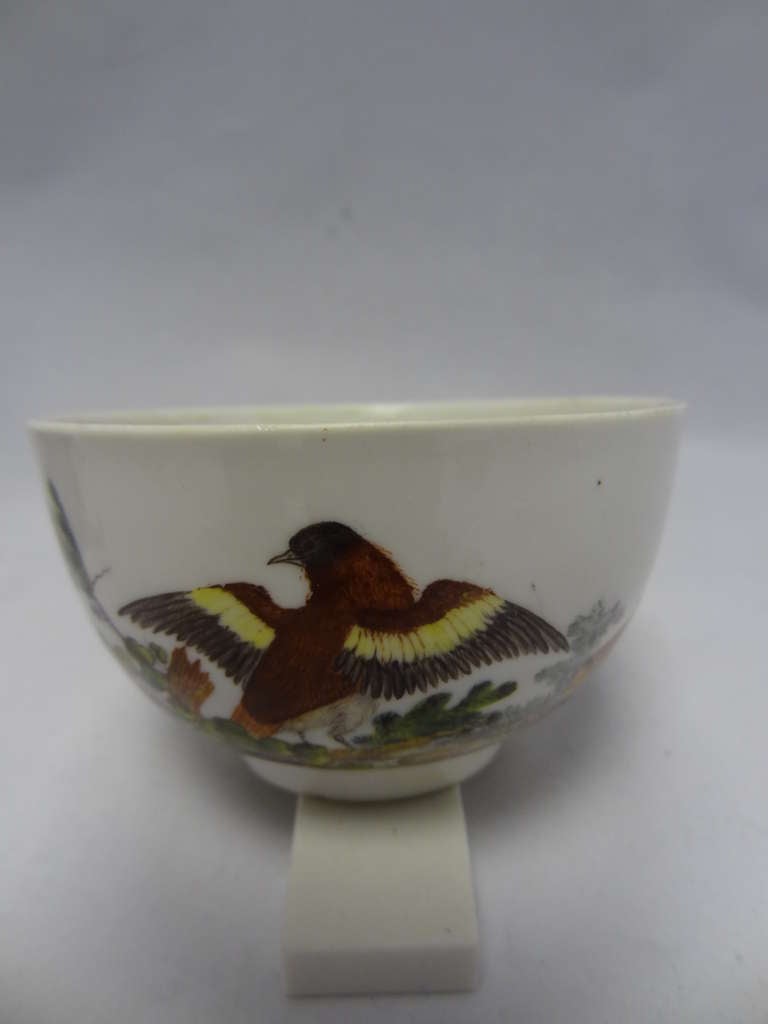Ansbach Porcelain Cup and Saucer In Good Condition For Sale In Leeds, GB