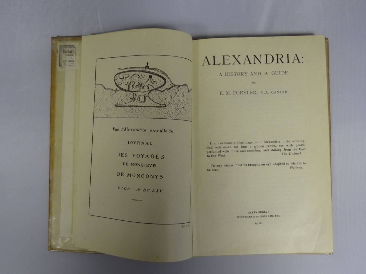 Modern E. M. Forster, Alexandria, First Edition Book For Sale
