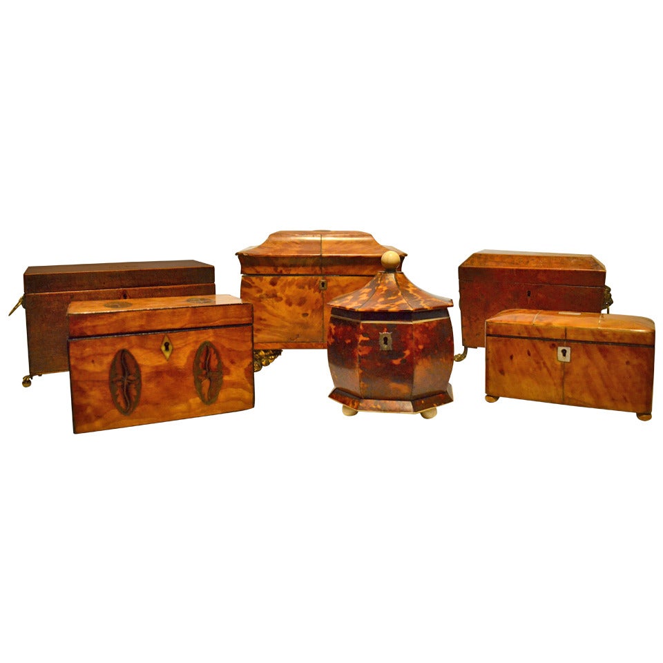 Collection of 18th and 19th Century Regency Tea Caddies For Sale