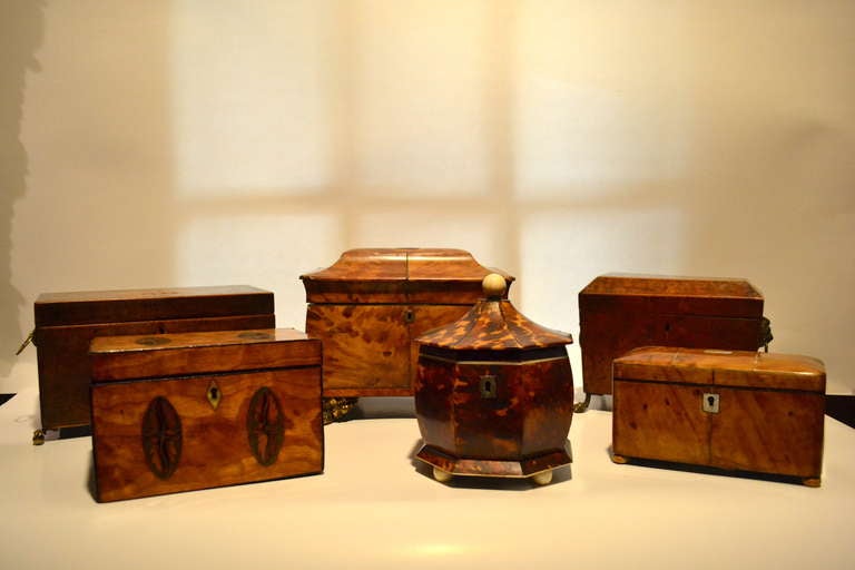 Collection of 18th and 19th Century Wooden Regency Tea Caddies of Various Shapes and Sizes.  Contact us to obtain information about individual size and price.  Circa 1780-1820.