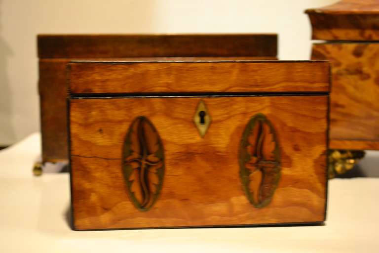 English Collection of 18th and 19th Century Regency Tea Caddies For Sale