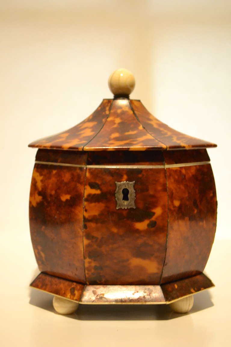 Collection of 18th and 19th Century Regency Tea Caddies For Sale 3