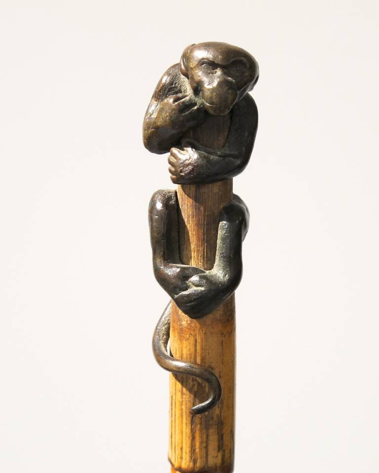 Original Art Nouveau Walking Stick with Stunning Bronze Monkey 3