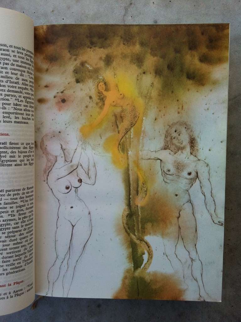 French Salvador Dali, illustrated Bible with 40 full page illustrations by Dali