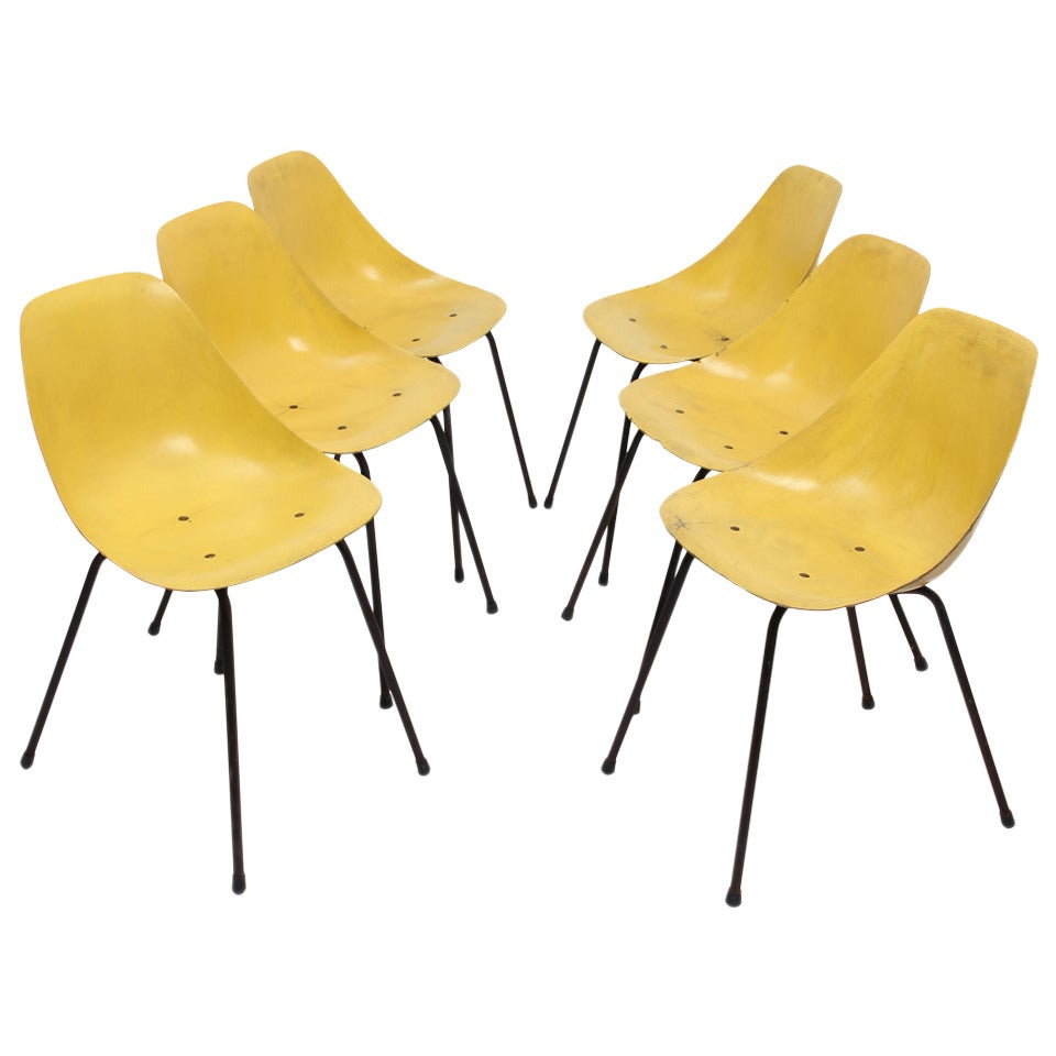 Sechs „Coccinelle“-Stühle von Rene-Jean Caillette, herausgegeben von Steiner, 1958