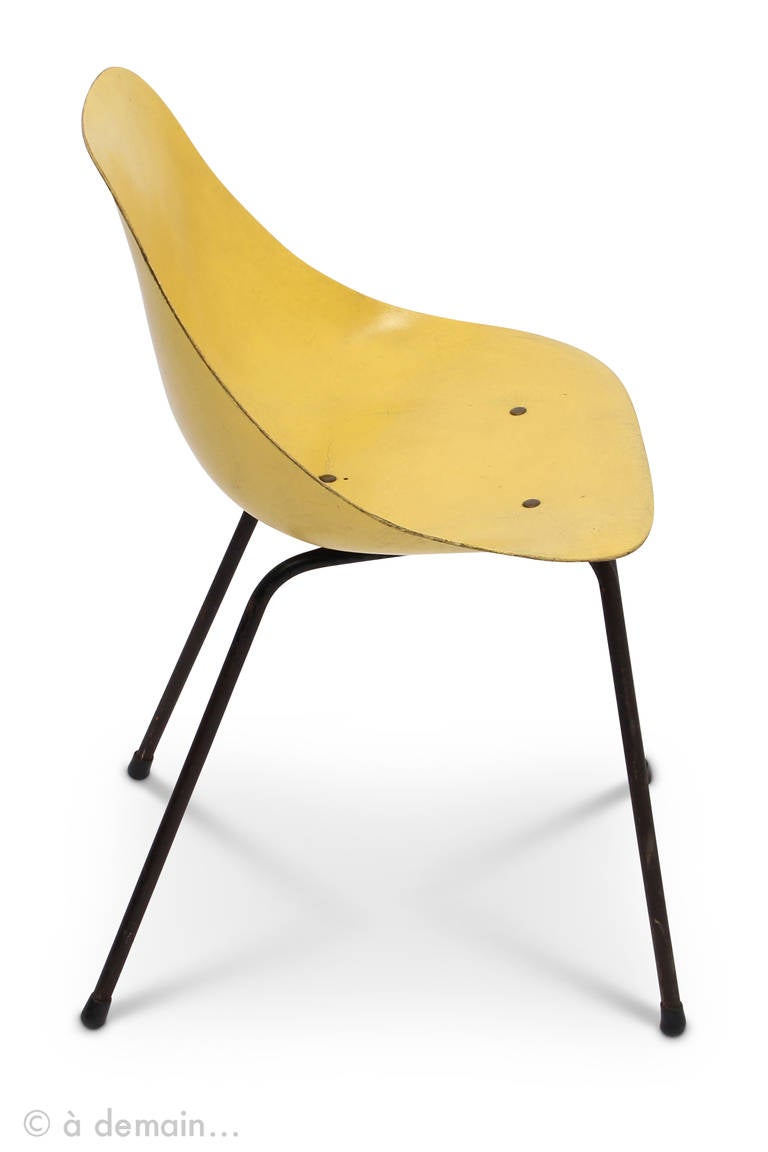 Sechs „Coccinelle“-Stühle von Rene-Jean Caillette, herausgegeben von Steiner, 1958 (Französisch)