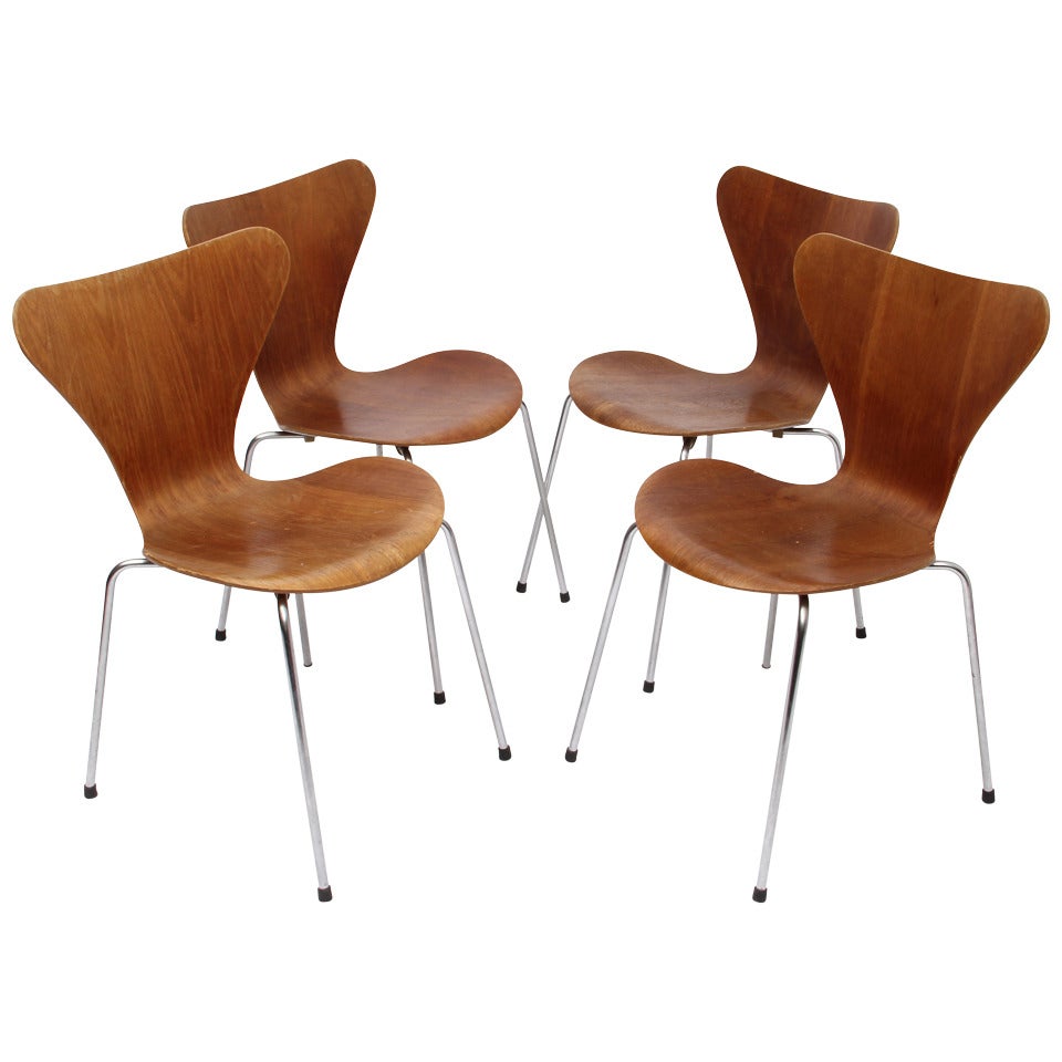 "Series 7" Chairs Designed by Arne Jacobsen, Edited by Fritz Hansen, 1966