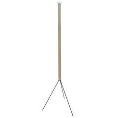 Luminator Floor Lamp by Achille Castiglioni for Flos, Italy, 1955 7