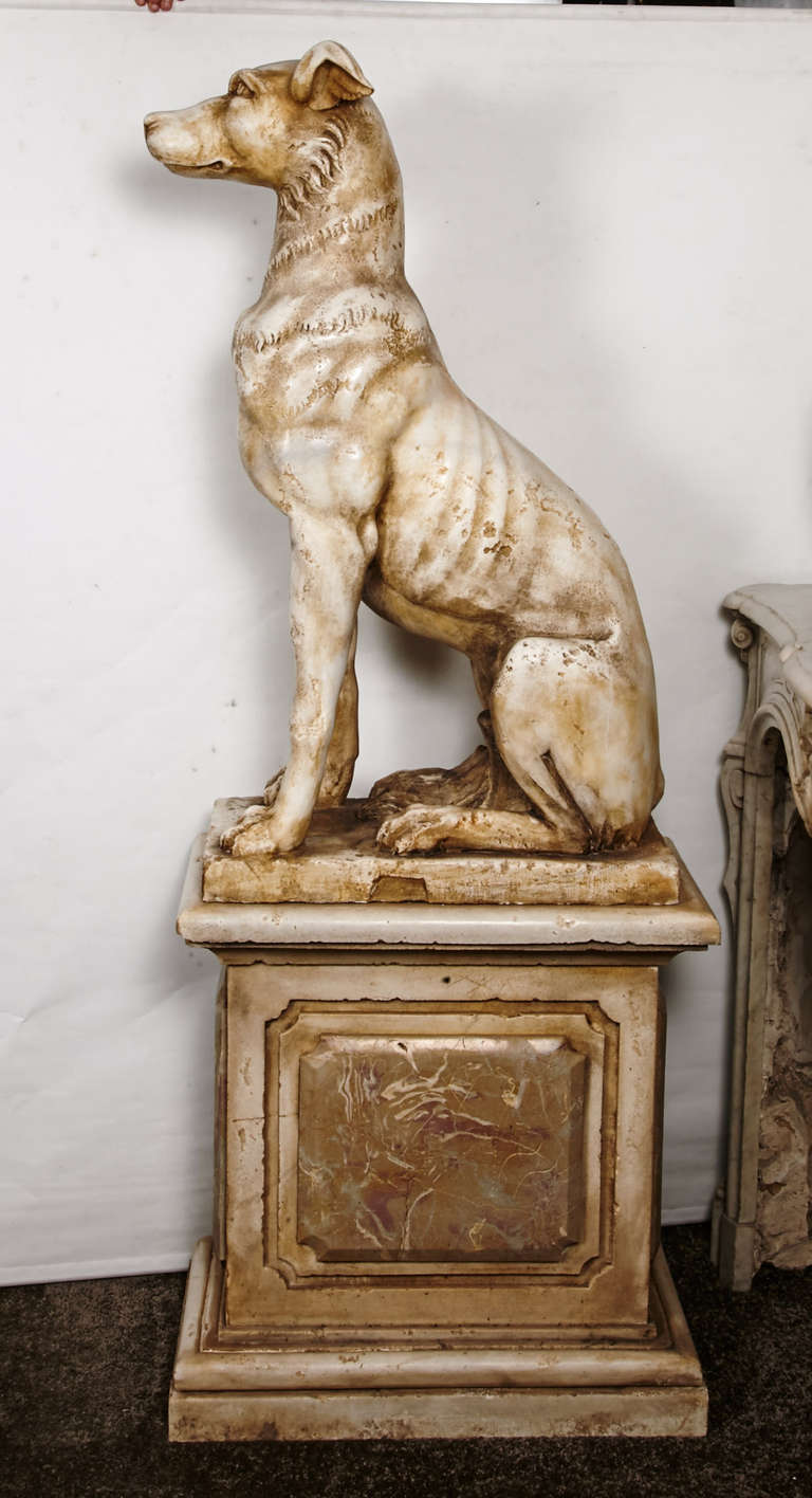 19th Century Italian Pair of Greyhounds in Marble For Sale 7