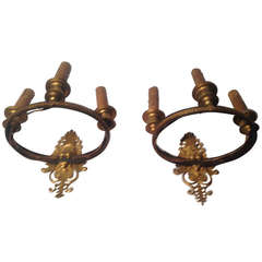 Pair of 19th Century French Dore Bronze Appliques, Charles X