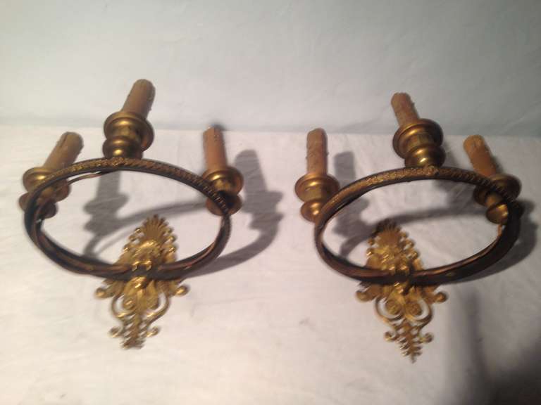 Pair of 19th Century French Dore Bronze Appliques, Charles X