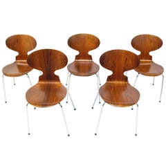 Five Rosewood Ant Chairs By Arne Jacobsen
