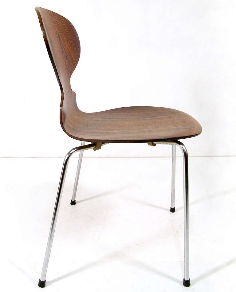 Rosewood Ant Chair by Arne Jacobsen - 3 available In Excellent Condition In London, GB