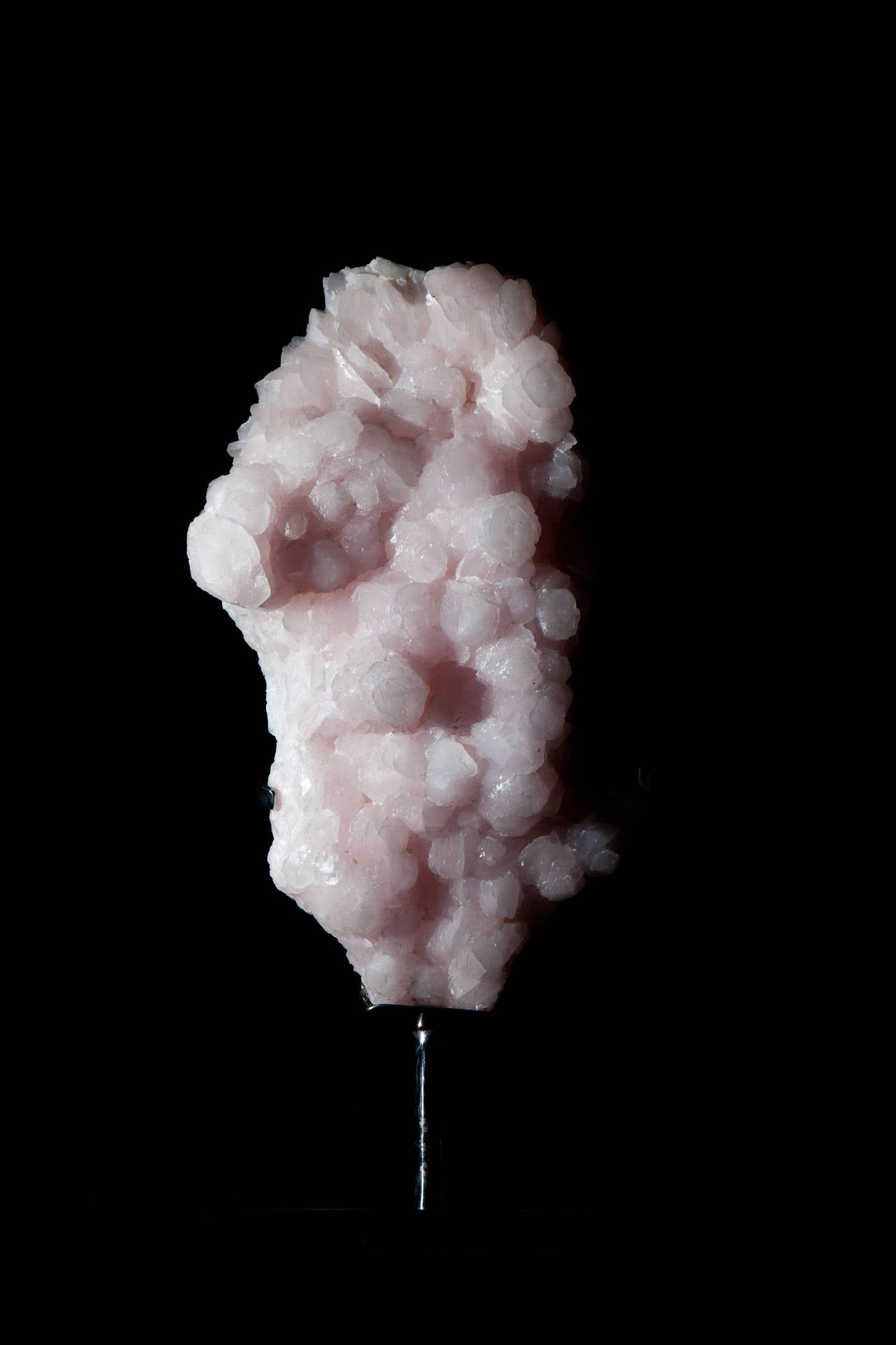 Giant Pink Manganite