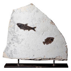 Fish Plaque, Front and Back