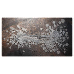 Crinoid Fossil wall plate