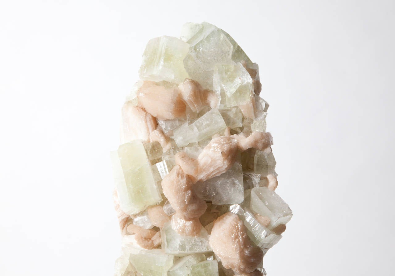 About Dale Rogers

Since 1986 Dale has been sourcing the most unique fossils and minerals from around the world and through his company Dale Rogers Ammonite has been supplying leading interior designers and collectors with some of earth’s most