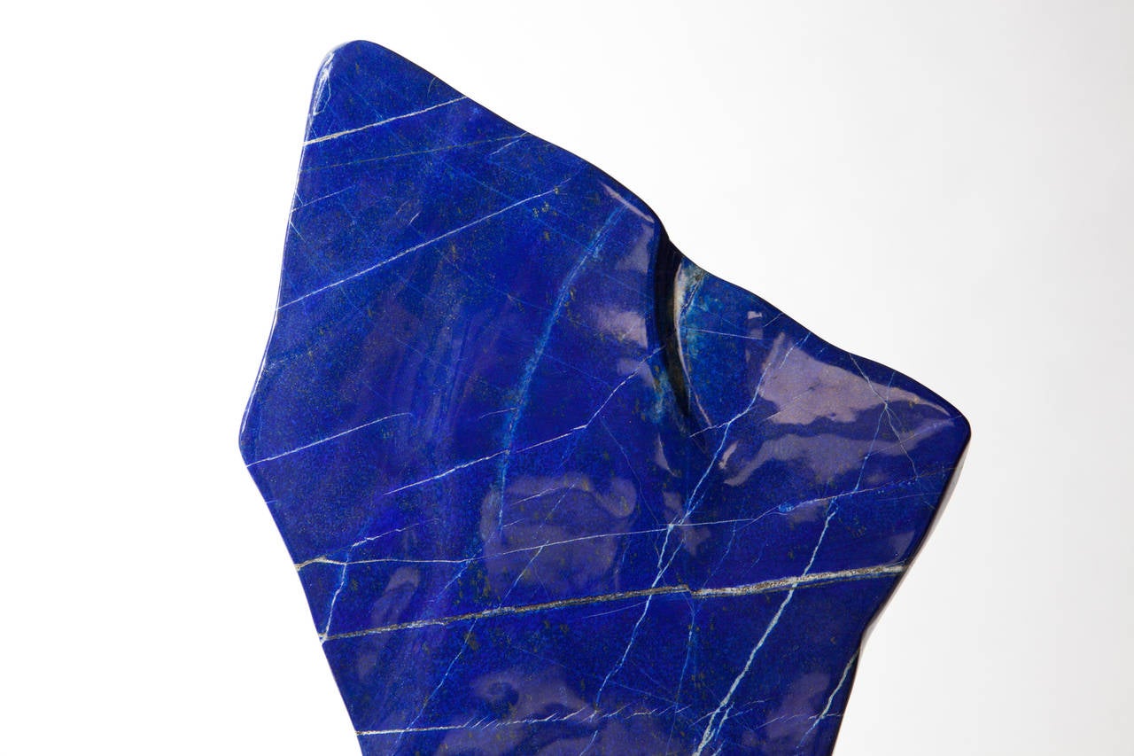 About Dale Rogers

Since 1986 Dale has been sourcing the most unique fossils and minerals from around the world and through his company Dale Rogers Ammonite has been supplying leading interior designers and collectors with some of earth’s most